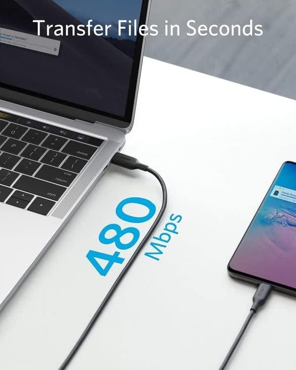 Anker 6ft PowerLine III USB-C to USB-C 2.0 100W Charging Cable