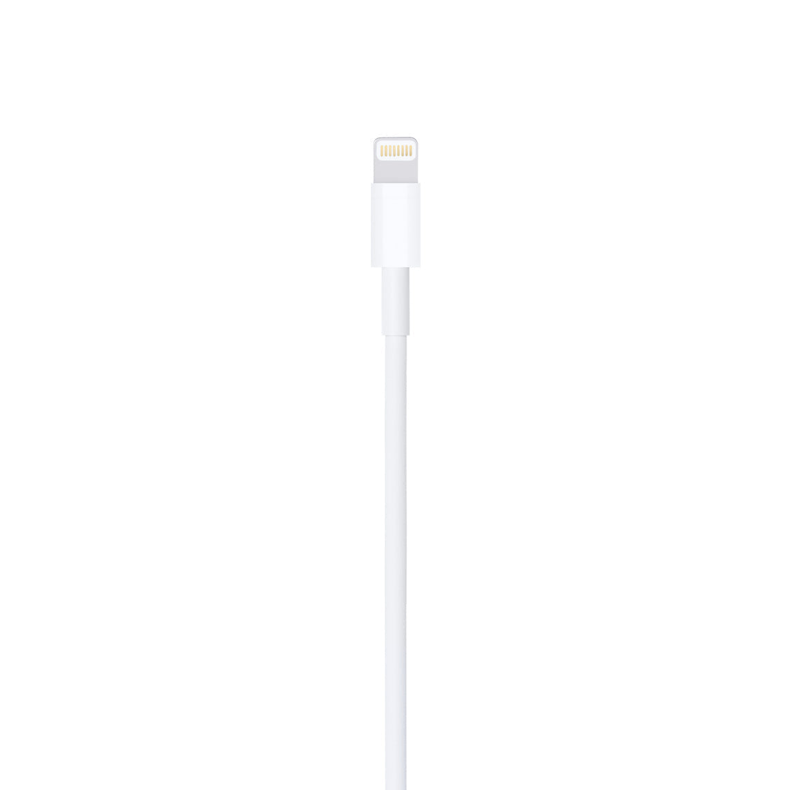 Apple 0.5m Lightning to USB Cable for iPhone, iPad, iPod