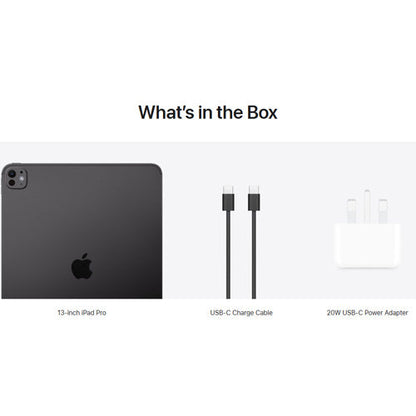Apple iPad Pro 11-inch (M4) Wi-Fi 256GB (Middle East Version)