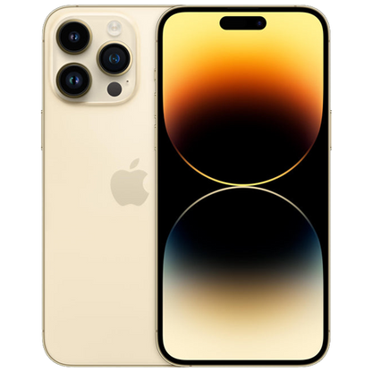 https://cdn.shopify.com/s/files/1/0652/8922/4380/files/Gold_b1f250a9-ab5d-42cd-983c-e638f2120a1f.png?v=1742147884