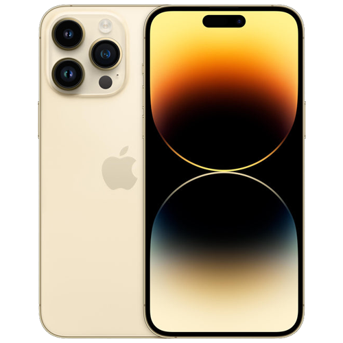 https://cdn.shopify.com/s/files/1/0652/8922/4380/files/Gold_b1f250a9-ab5d-42cd-983c-e638f2120a1f.png?v=1742147884