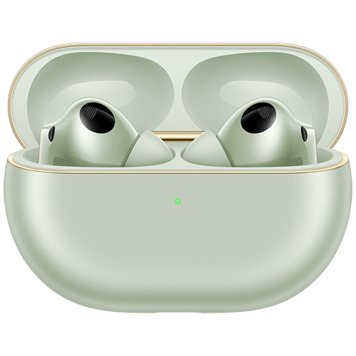 https://cdn.shopify.com/s/files/1/0652/8922/4380/files/Green_1_953257d6-d3dd-4c22-9c42-c4540e4bb3ea.png?v=1742563876