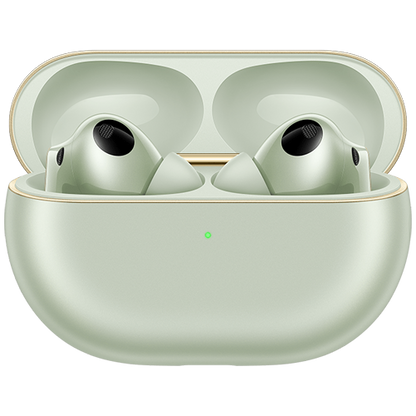 https://cdn.shopify.com/s/files/1/0652/8922/4380/files/Green_1_953257d6-d3dd-4c22-9c42-c4540e4bb3ea.png?v=1742563876