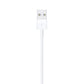 Apple 0.5m Lightning to USB Cable for iPhone, iPad, iPod