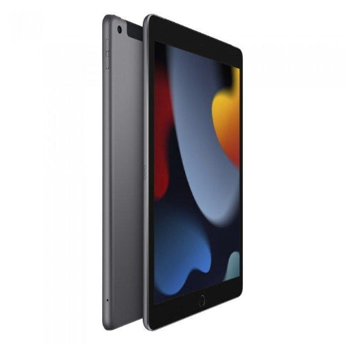Apple iPad 10.2-inch (9th Generation) WI-FI + Cellular 256GB (Arabic Edition)