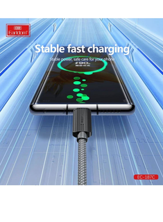 Earldom USB-C Data Cable 2.4A Fast Charging & Sync